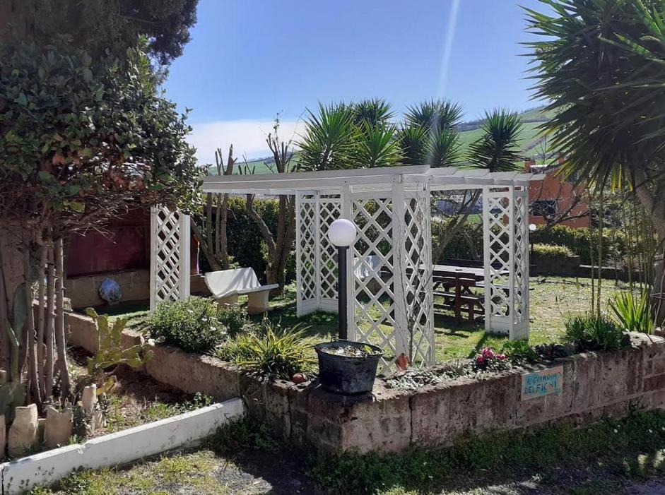Pier Delle Vigne B&B Pineto Exterior photo