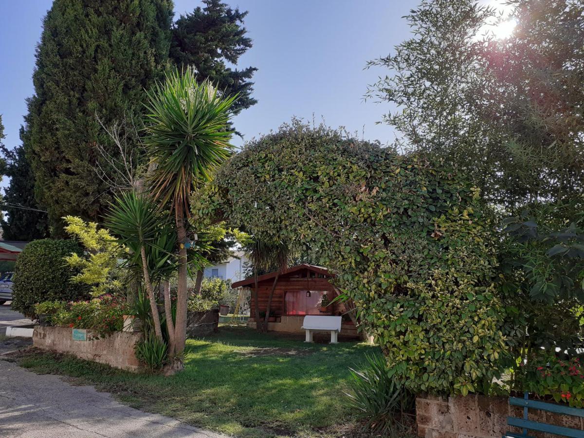 Pier Delle Vigne B&B Pineto Exterior photo