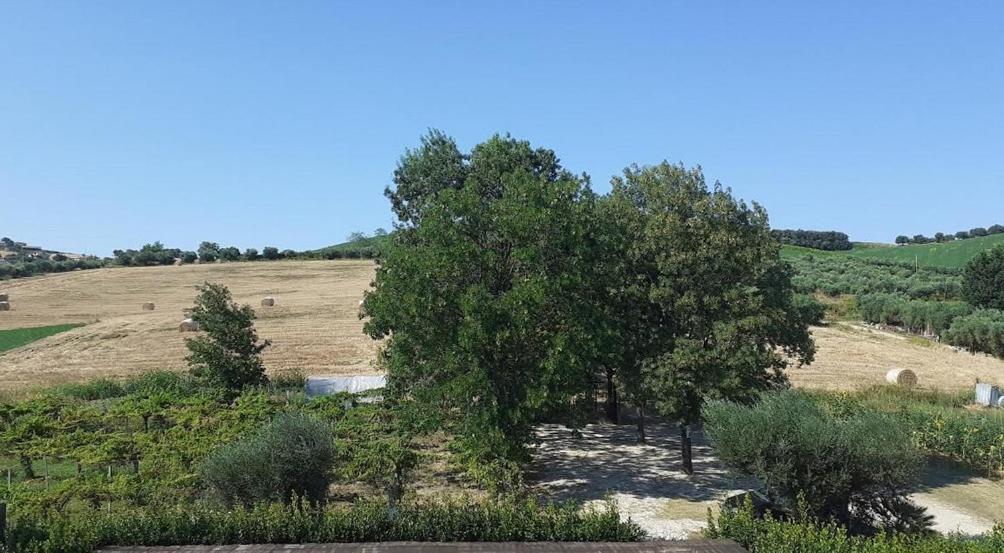Pier Delle Vigne B&B Pineto Exterior photo