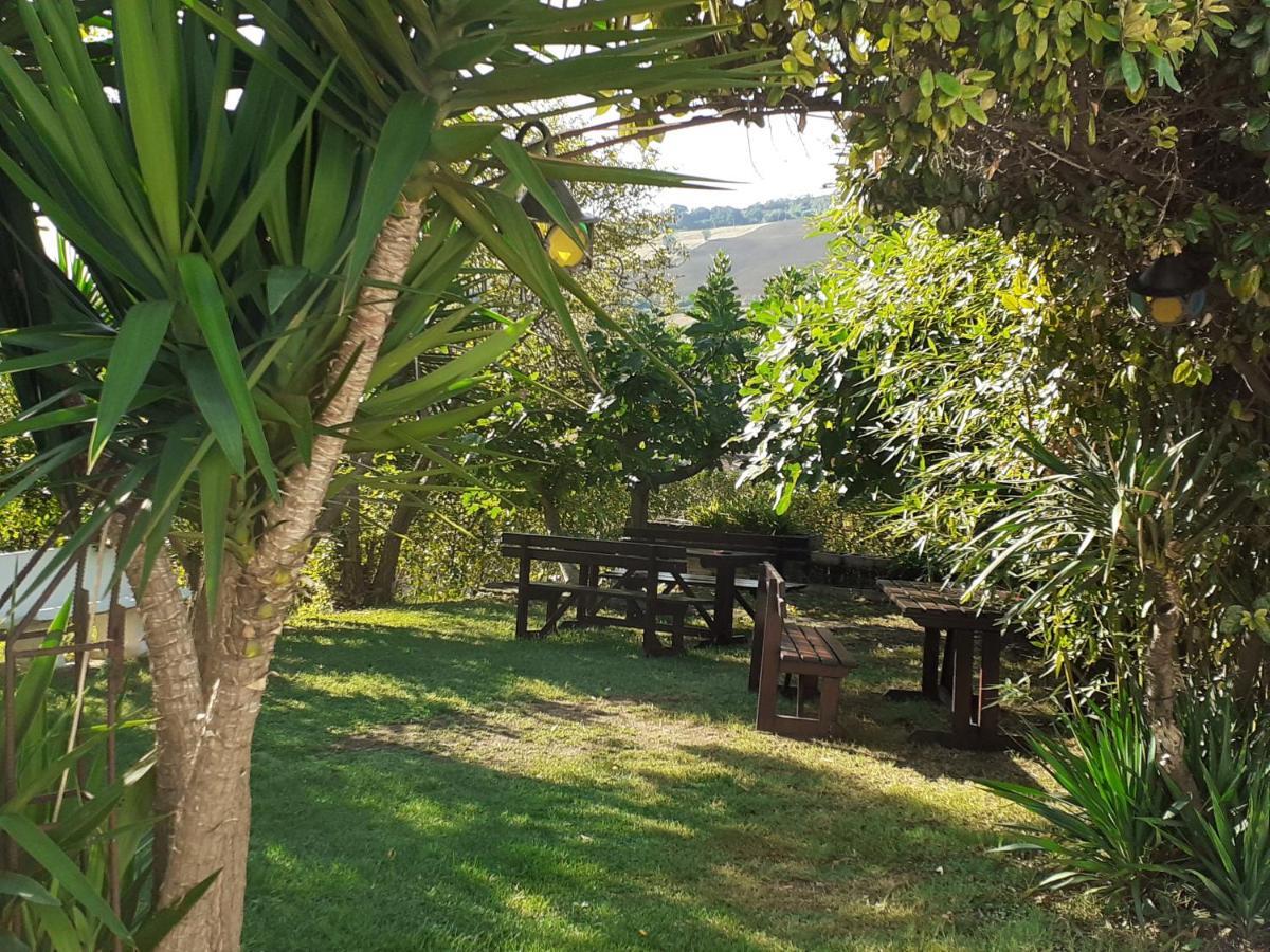 Pier Delle Vigne B&B Pineto Exterior photo