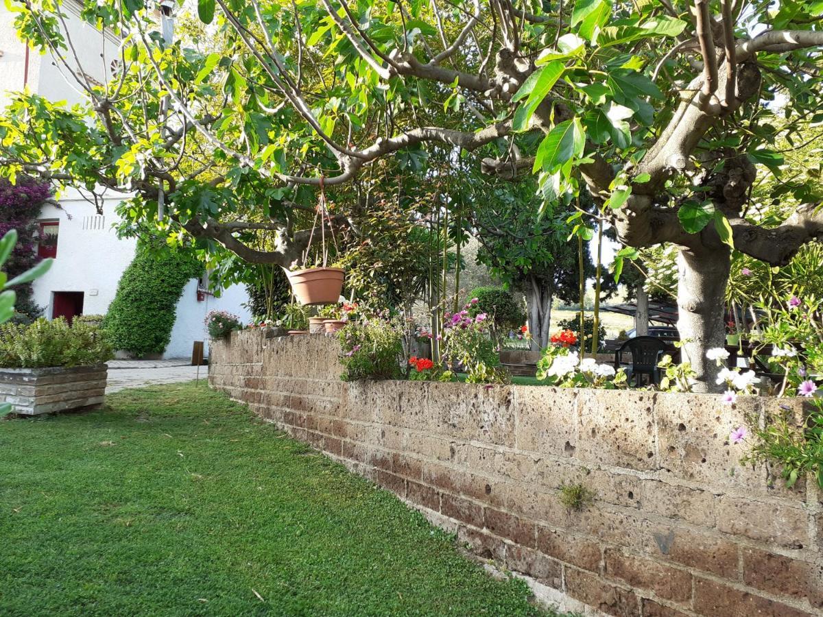 Pier Delle Vigne B&B Pineto Exterior photo