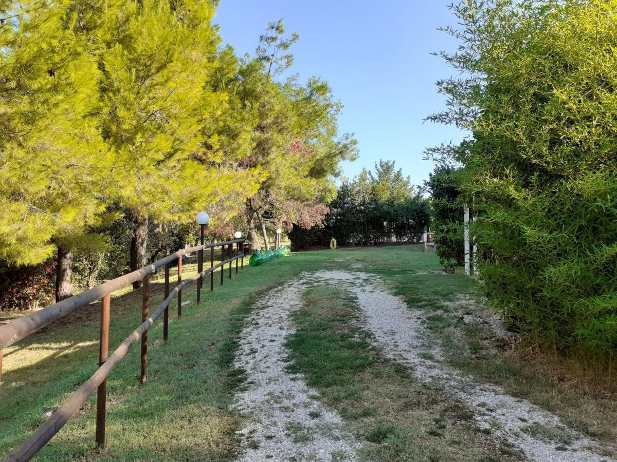 Pier Delle Vigne B&B Pineto Exterior photo